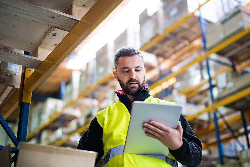 servizi logistica cooperativa lupa romana